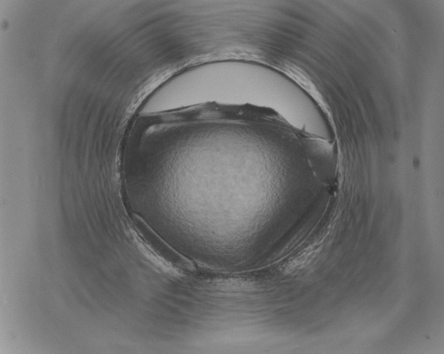 X0000075830389200610151525