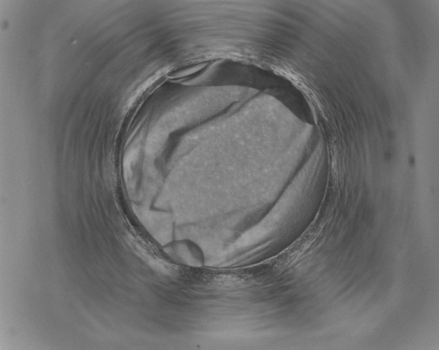 X0000075830390200610151525