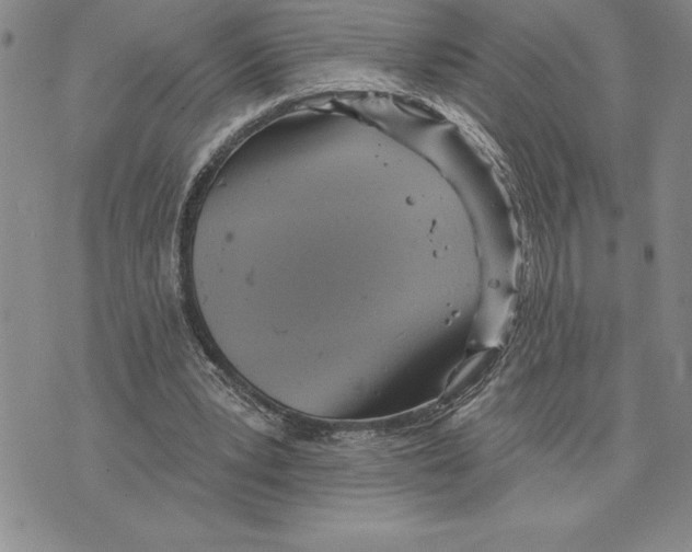 X0000075830391200610151525