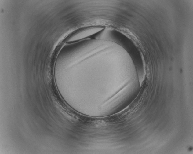 X0000075830392200610151525