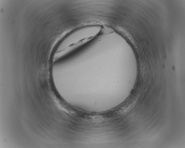 X0000075830395200610151525