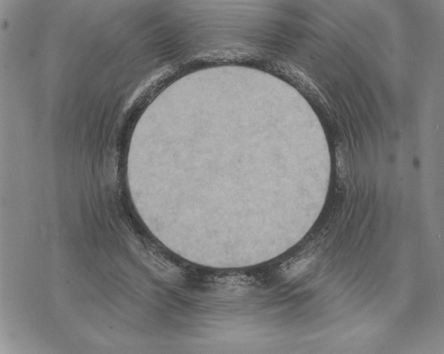 X0000075830396200610151525