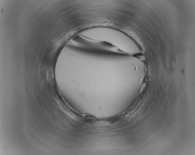 X0000075830397200610151525