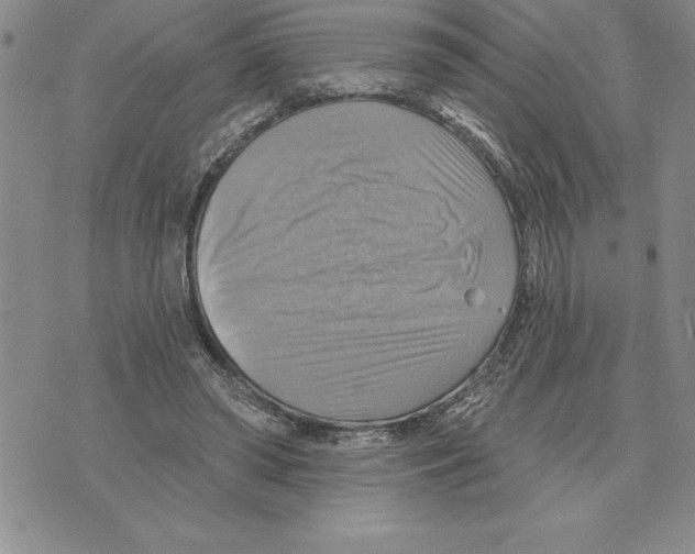 X0000075830398200610151525