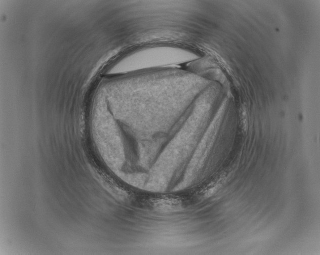 X0000075830400200610151525