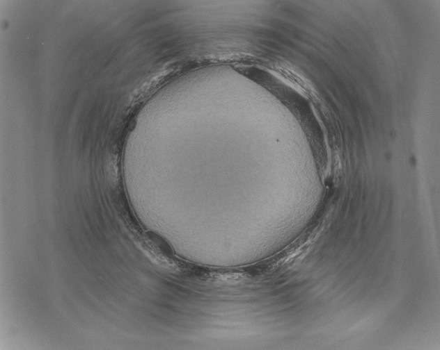 X0000075830401200610151525