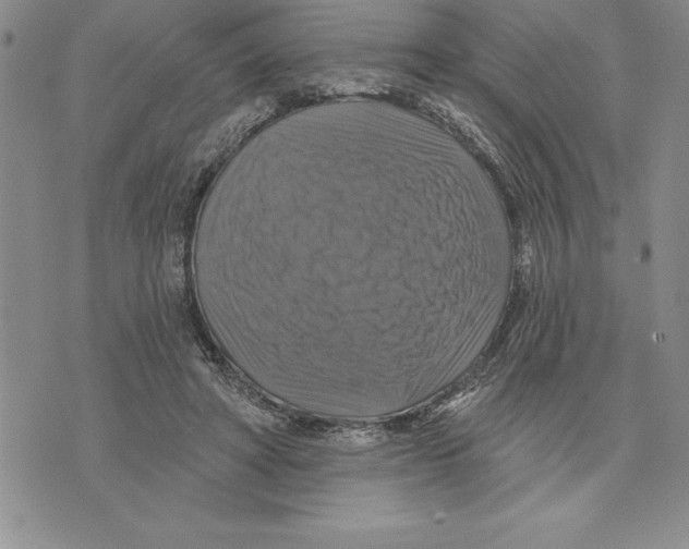 X0000075830402200610151525