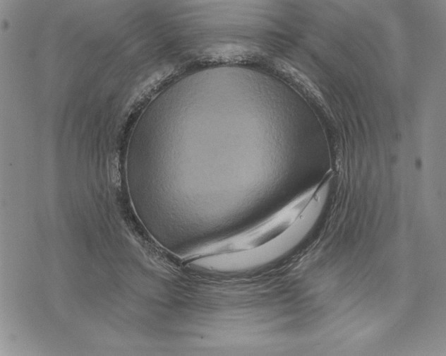 X0000075830403200610151525