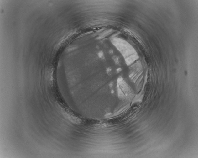 X0000075830404200610151525