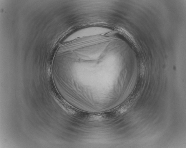 X0000075830405200610151525