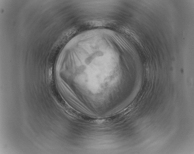 X0000075830406200610151525