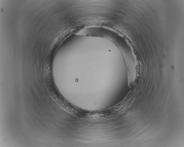 X0000075830407200610151525