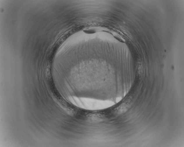 X0000075830408200610151525