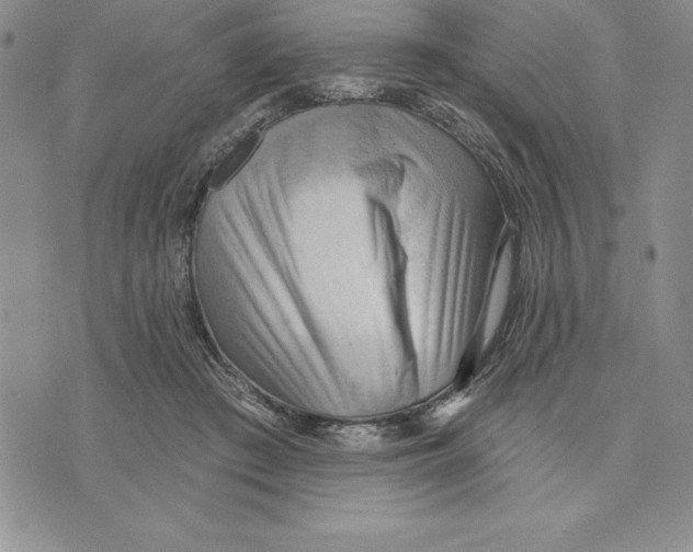 X0000075830409200610151525