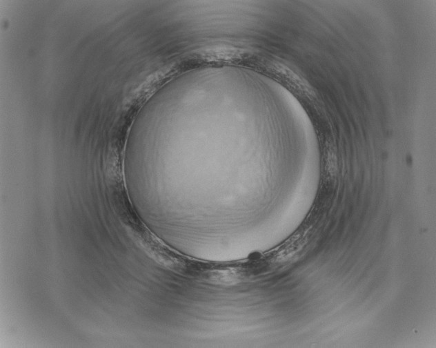 X0000075830411200610151525