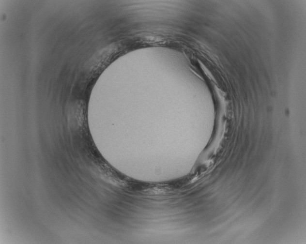 X0000075830412200610151525