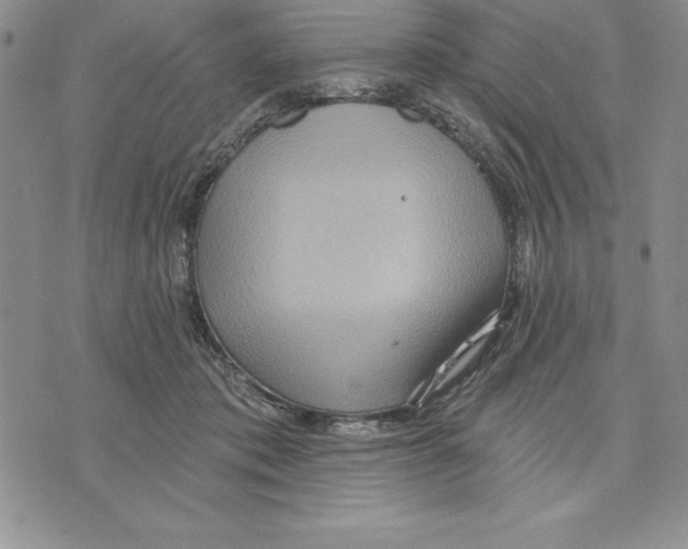 X0000075830413200610151525