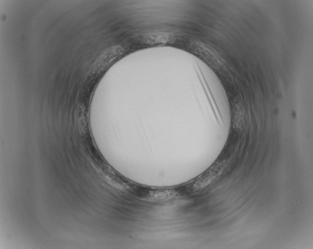 X0000075830414200610151525