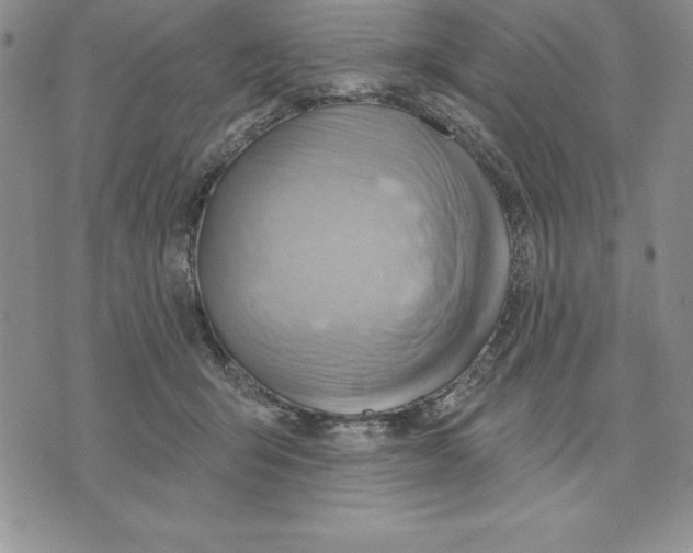 X0000075830415200610151525