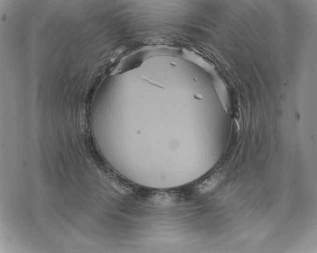 X0000075830416200610151525