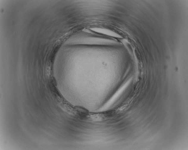 X0000075830417200610151525