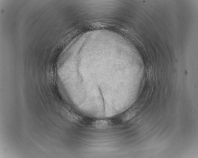 X0000075830418200610151525