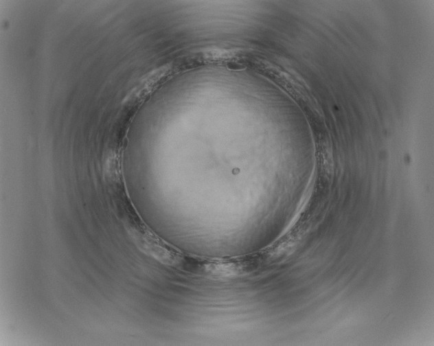 X0000075830419200610151525