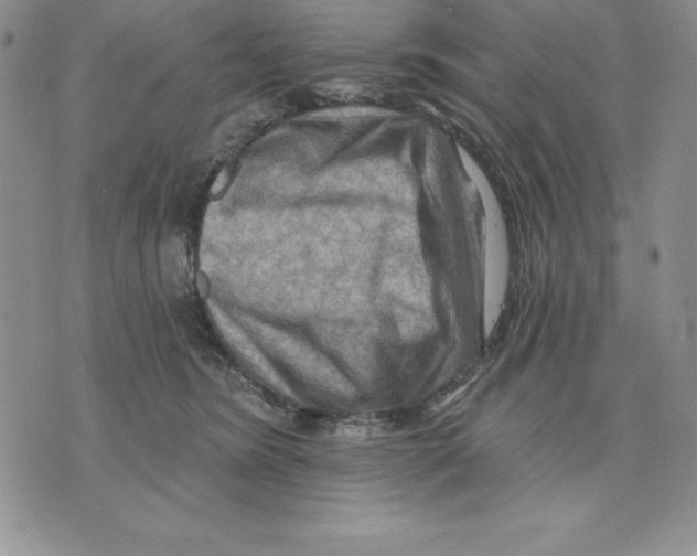 X0000075830420200610151525