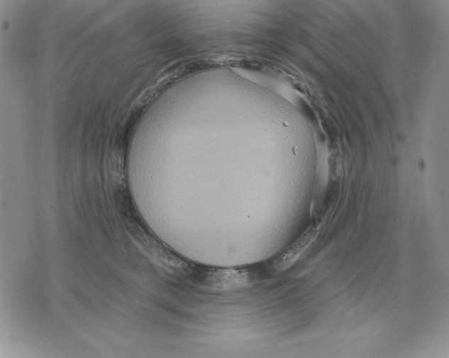 X0000075830421200610151525