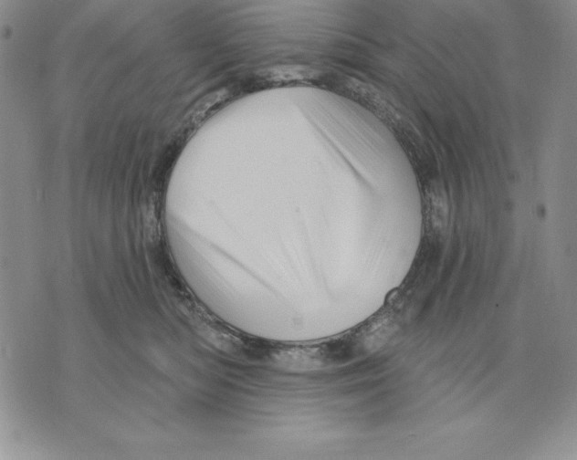 X0000075830422200610151525