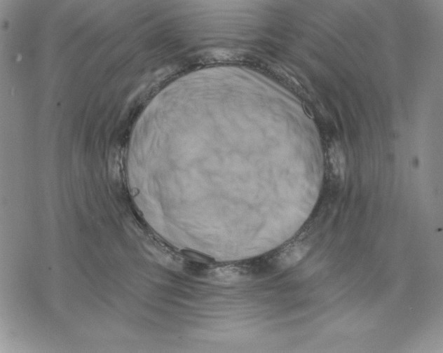 X0000075830423200610151525