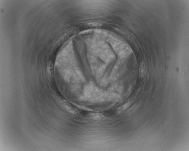 X0000075830424200610151525