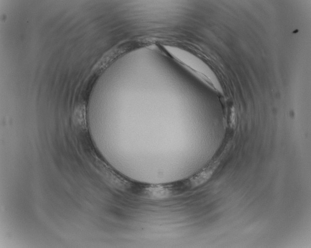 X0000075830425200610151525