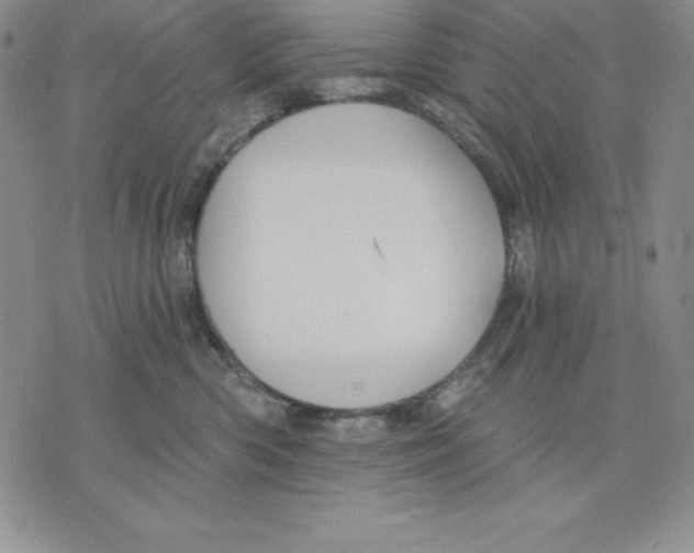 X0000075830426200610151525