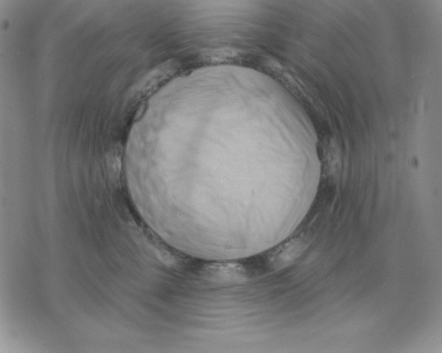 X0000075830427200610151525