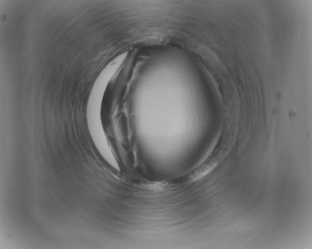 X0000075830432200610151524