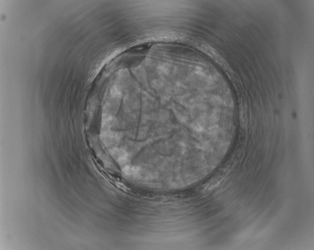 X0000075830434200610151524