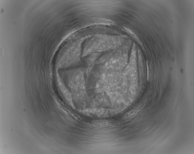 X0000075830435200610151524