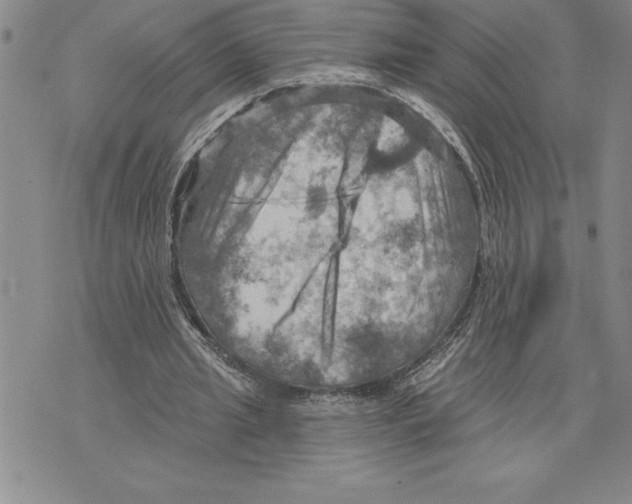 X0000075830437200610151524