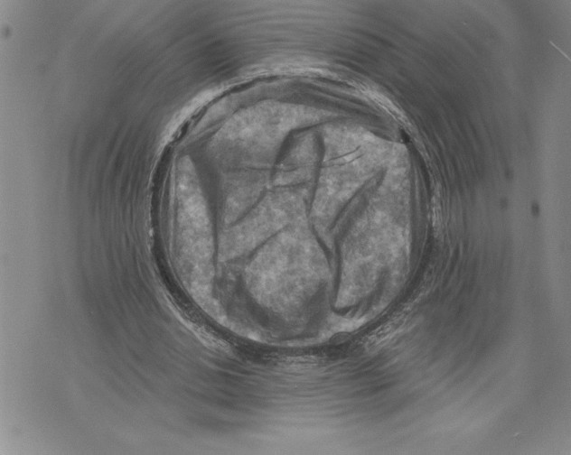 X0000075830438200610151524