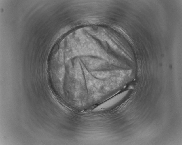 X0000075830439200610151524