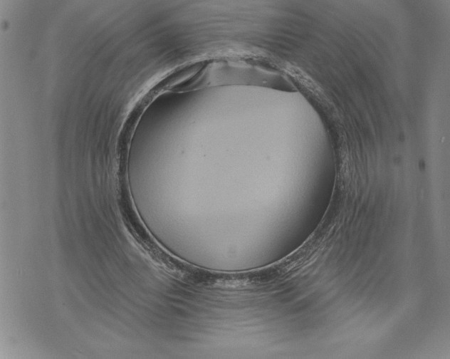 X0000075830440200610151524