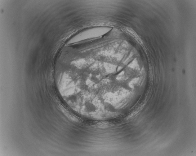 X0000075830441200610151524