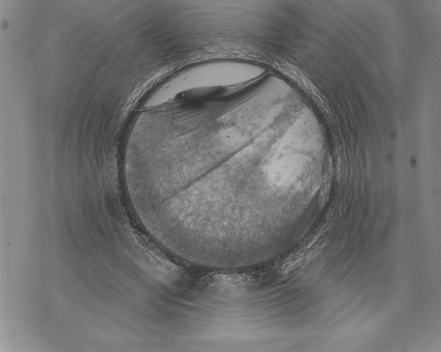 X0000075830442200610151524