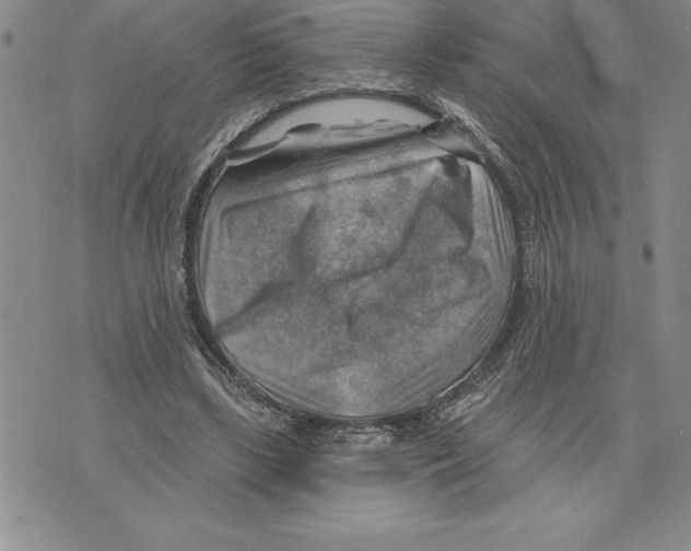 X0000075830443200610151524