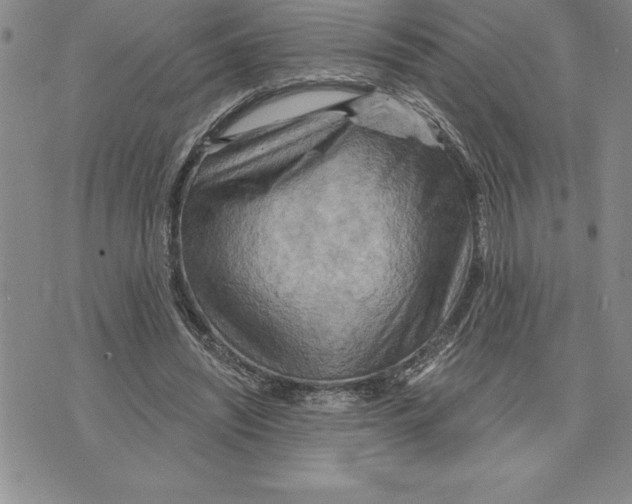 X0000075830444200610151524