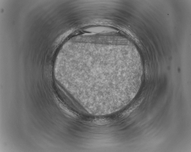 X0000075830445200610151524