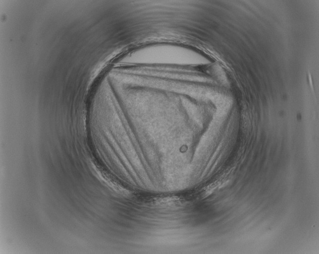 X0000075830446200610151524