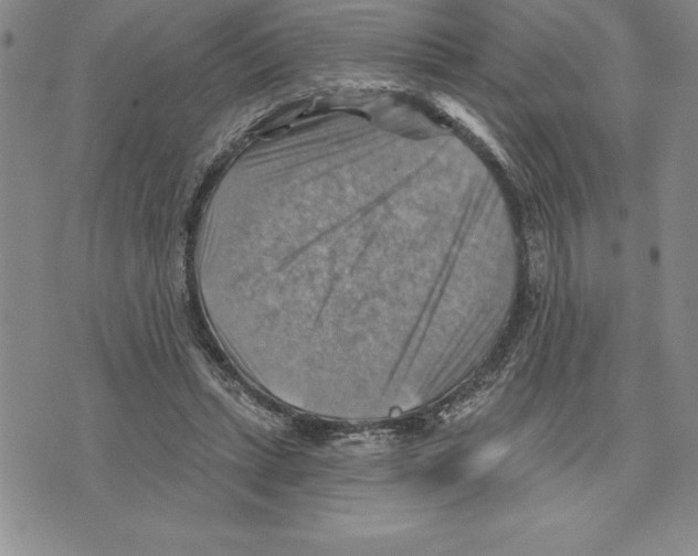 X0000075830447200610151524