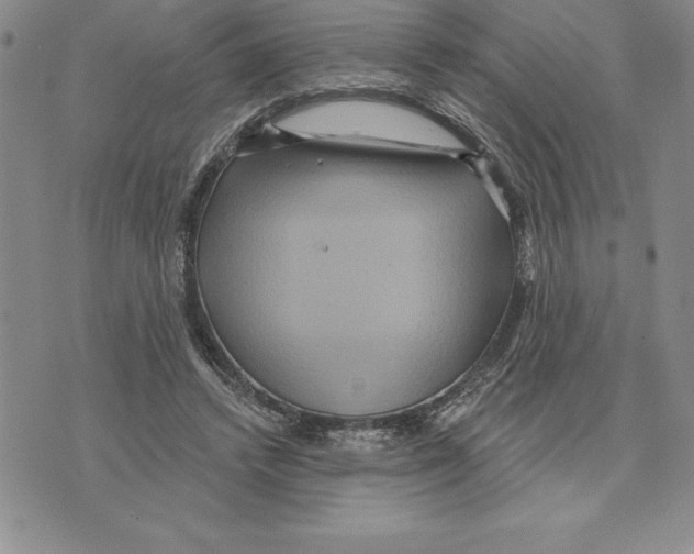 X0000075830448200610151524